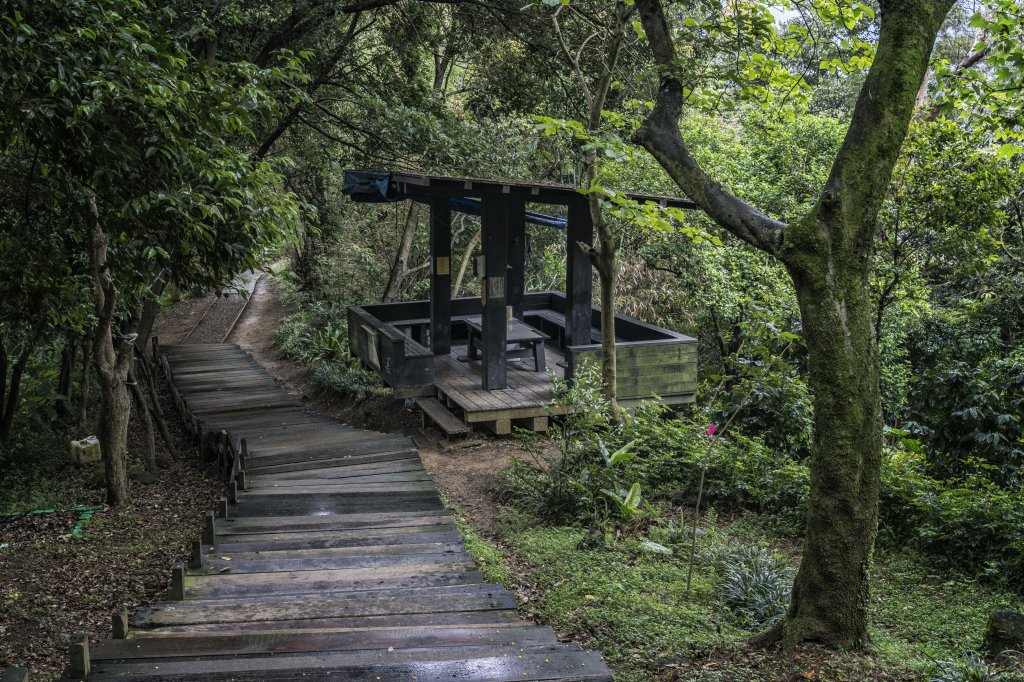 2020-4-27樹林青龍嶺-大棟山-大同山_1409721