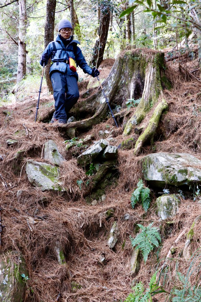 雪山西稜縱走_832735
