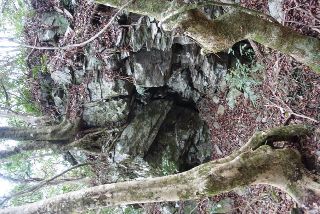 小鬼湖林道上亞泥迪山_1276818