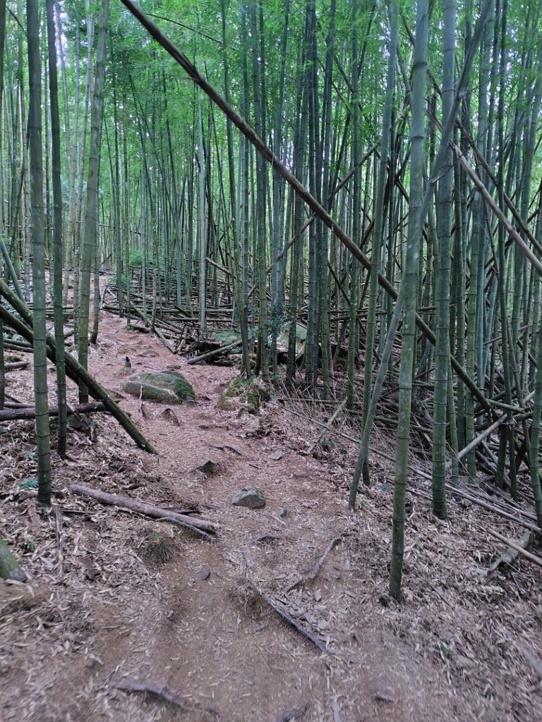 長壽山、肥崠山、醜崠山、大崠山、大崠山經建版_2931538