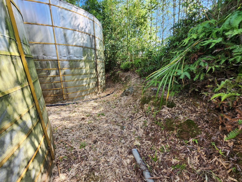 20240804鬼澤山、梅山、梅后蔓瀑布_2613415