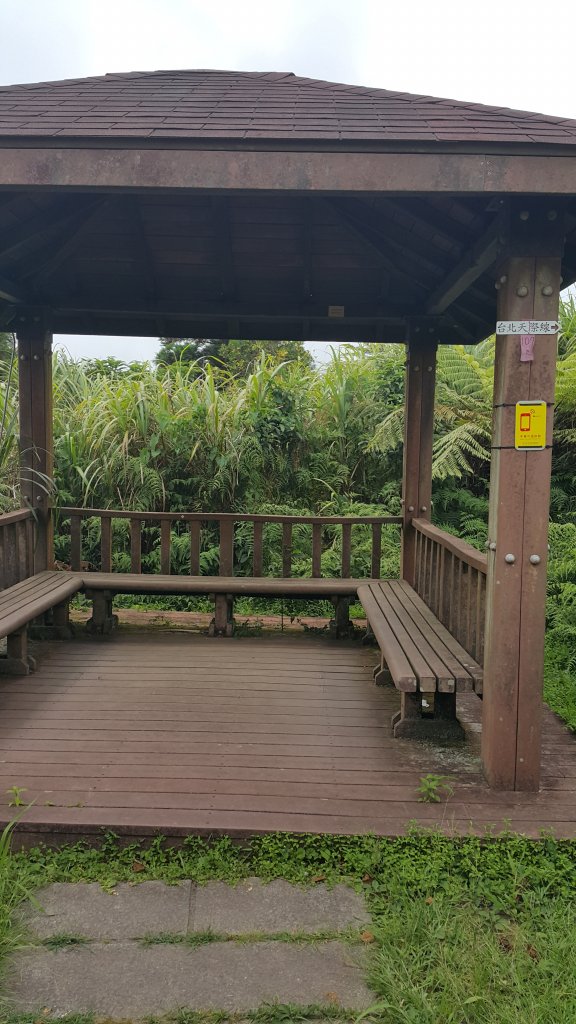 頂子寮山_1779840