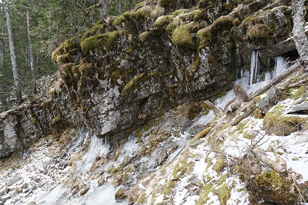 冰雪嚴寒 | 二〇二〇年初訪雪山峰_825375