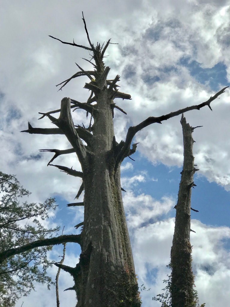 大霸群峰 107.10.19~21_455016