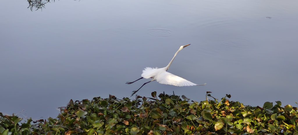 2025/022/22_峨眉湖環湖步道封面圖