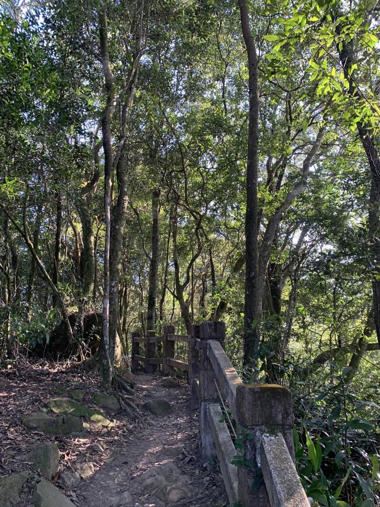 苗栗關刀山（小百岳）_2039865