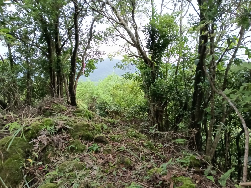 雙溪區平水+外柑腳山去回_2784079
