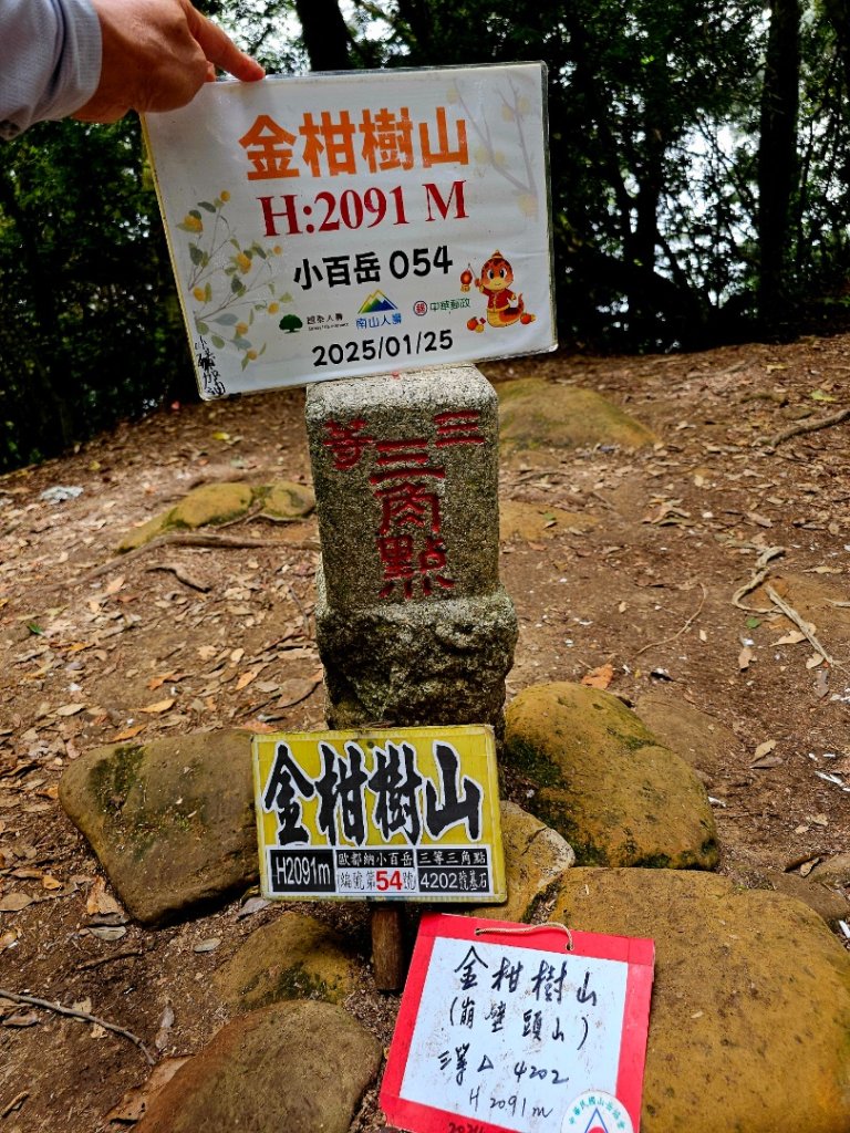 金柑樹山、忘憂森林步道-(南投)臺灣百大必訪步道_2789384