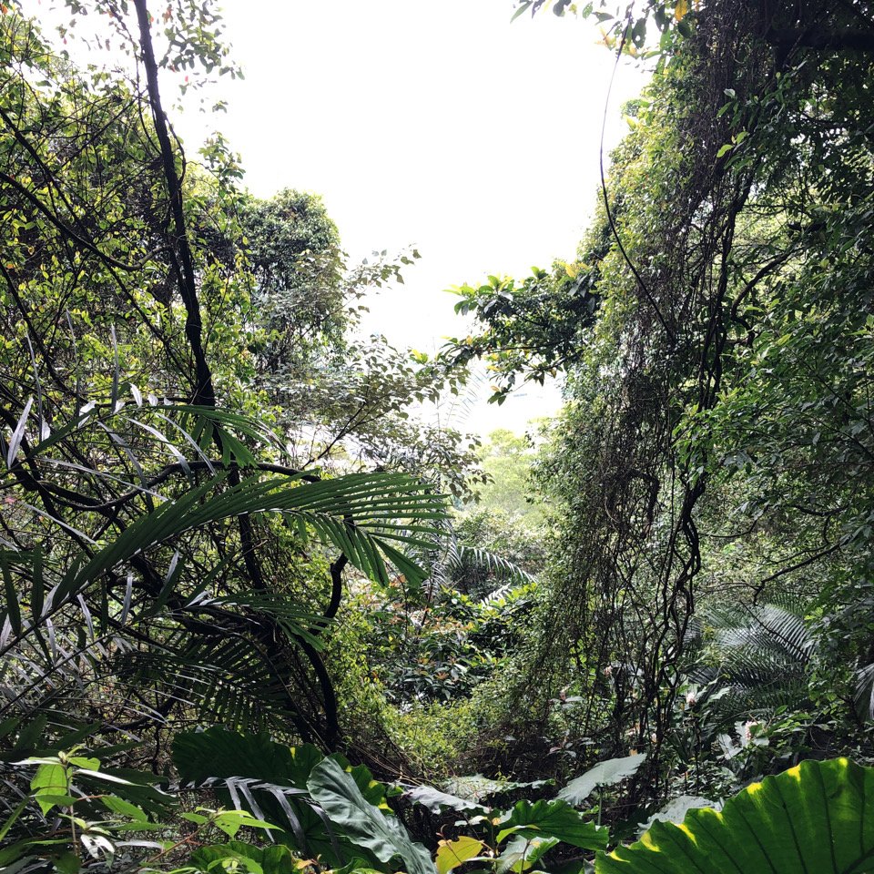 溪洲山登山口-新溪洲山-石門水庫_897639
