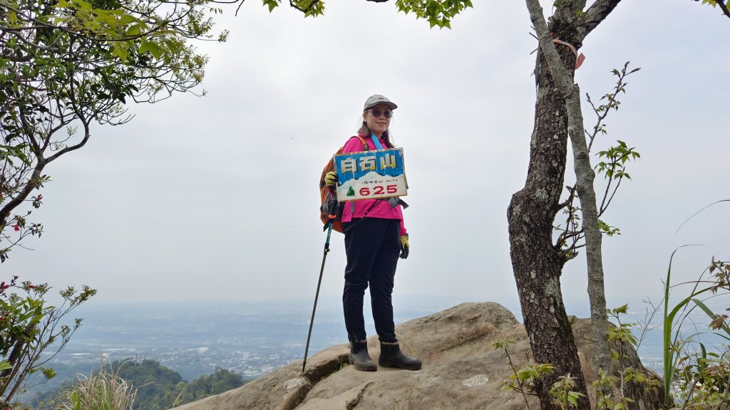 (姨婆趴趴走)第四十一集:桃園大溪草嶺山、石厝坑山、白石山環狀縱走封面圖