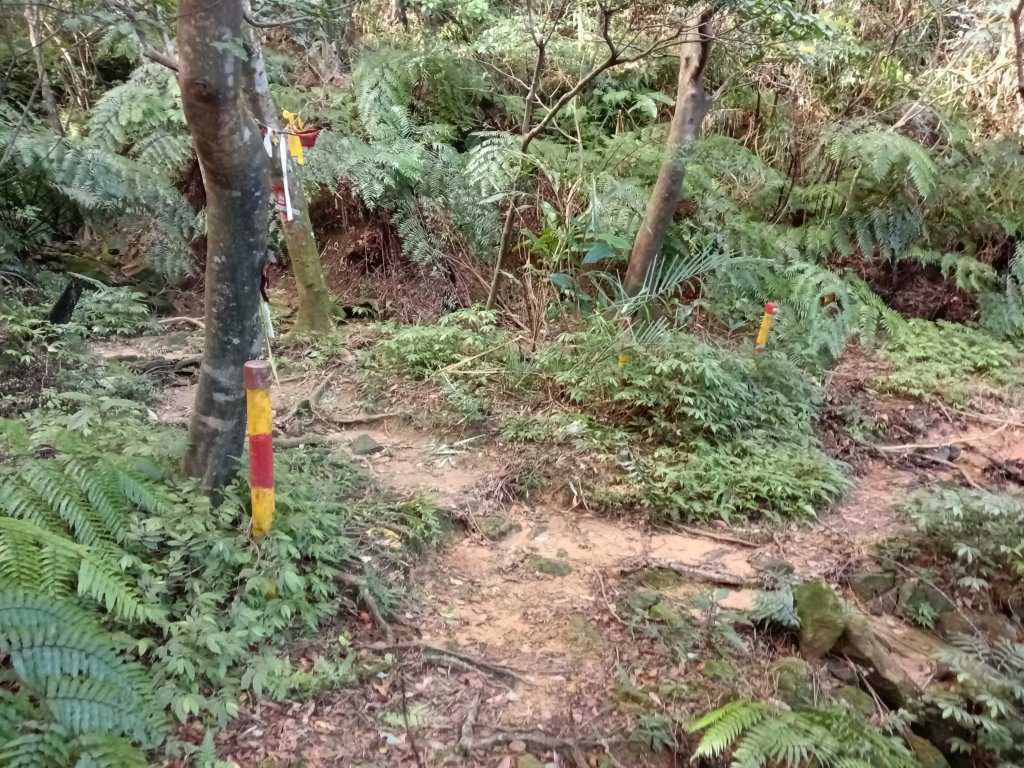 基隆市/萬里區界寮縱走之三界山+三界山西峰+開眼尖山+七分寮山+瑪七產道山泉水接水亭_2979531