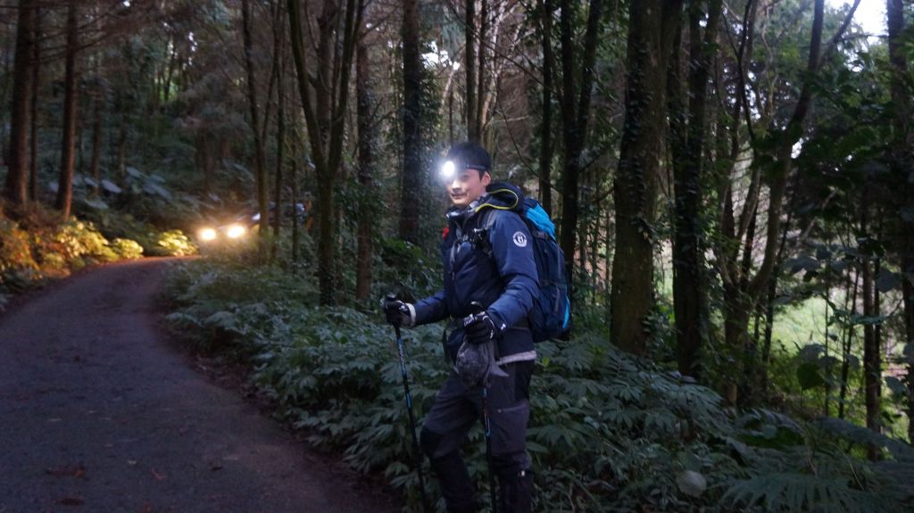 馬那邦山之楓_222159