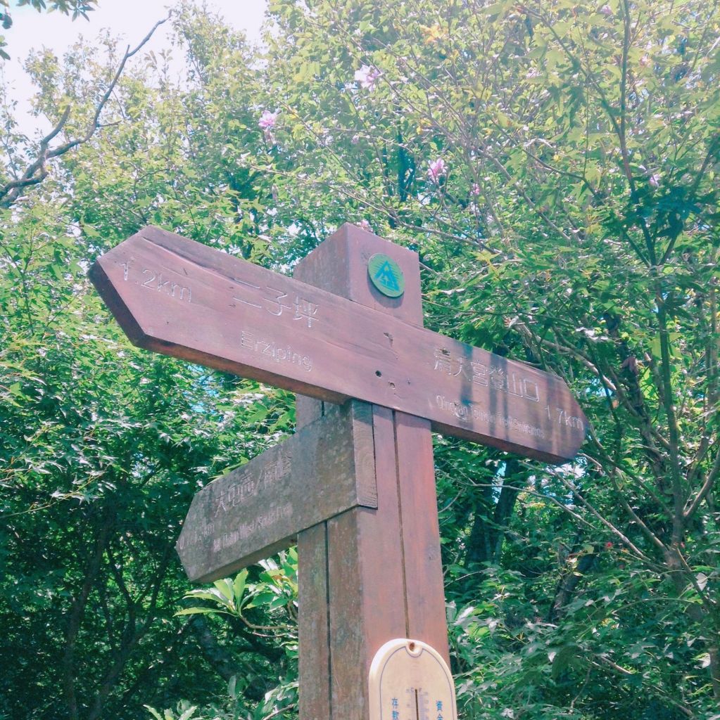 二子坪-大屯西南_376981