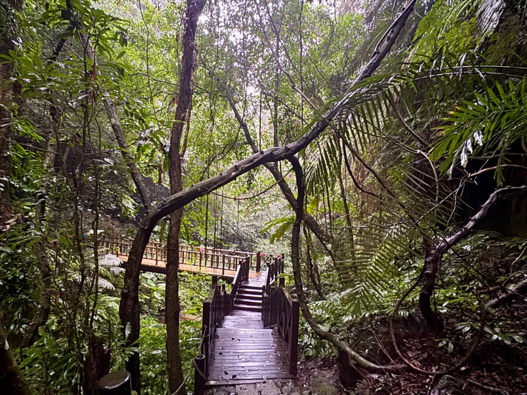 獅山 六寮古道 獅頭獅尾走一圈_2992456
