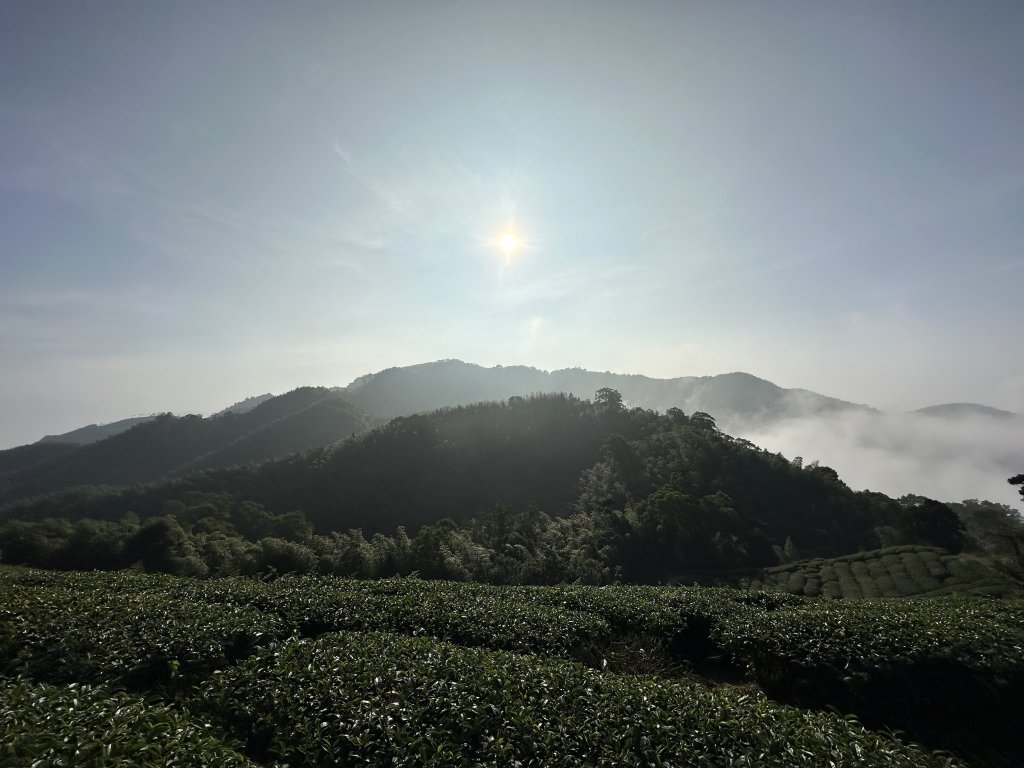 雲嘉十八連峰_1932581
