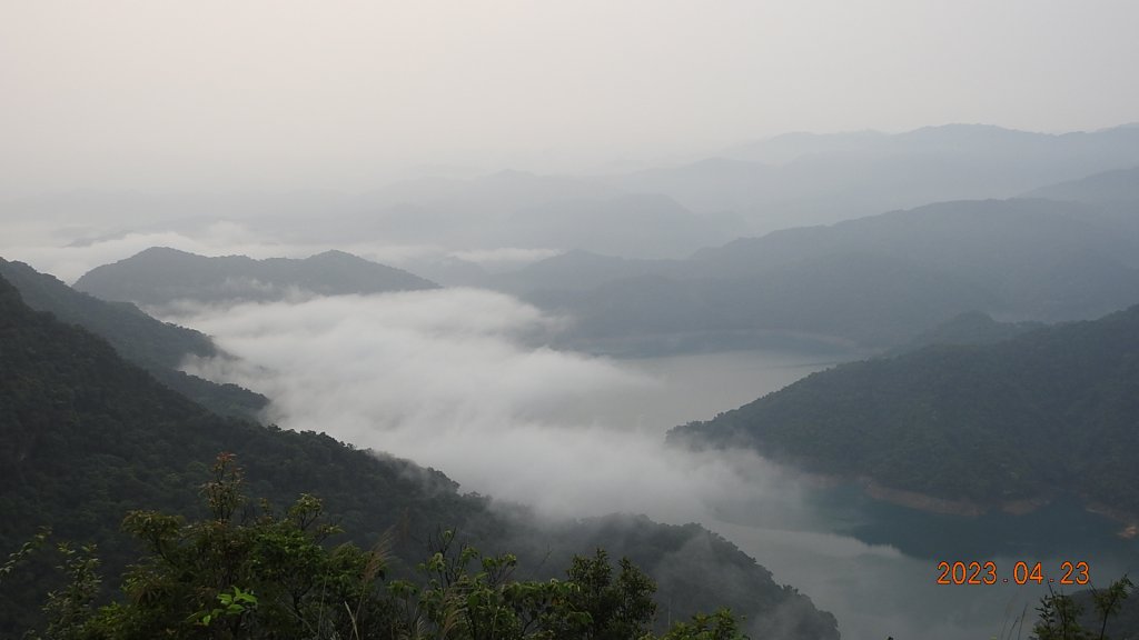 翡翠水庫壩頂(新店四十份)再見日出雲海+賞 #松月櫻 &桐花_2124424