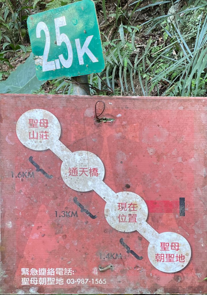 聖母登山步道（抹茶山）_2458325