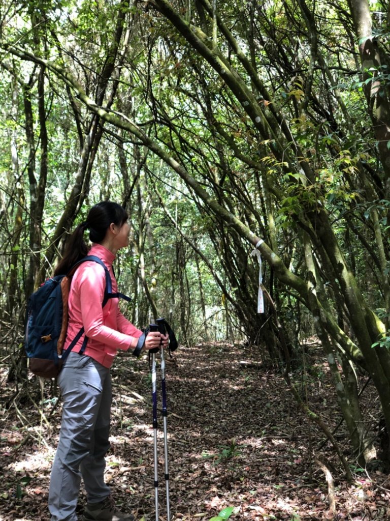 2020.04.15 南東眼山封面圖