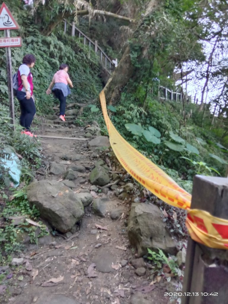  步道巡訪員 l 崁頭山步道12月份巡禮封面圖