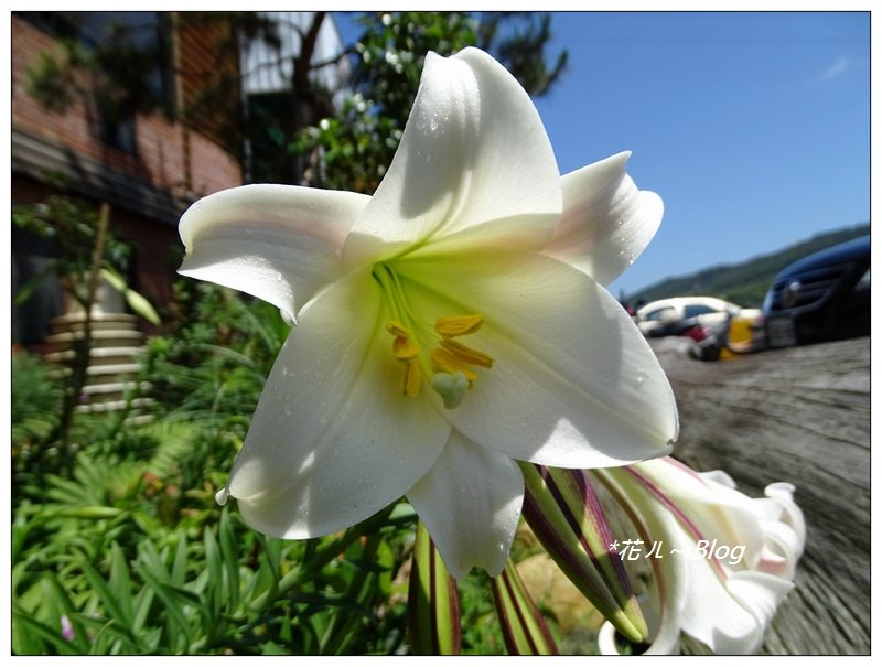 基隆/望幽谷步道_635192