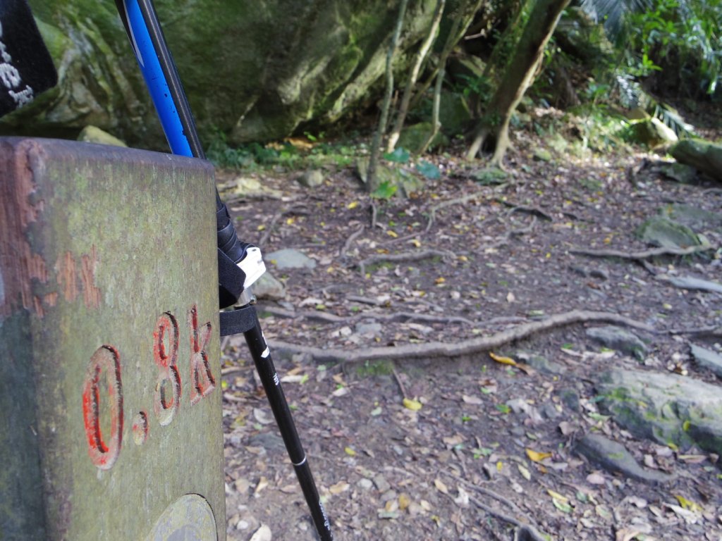 追憶 錐麓古道_2481972