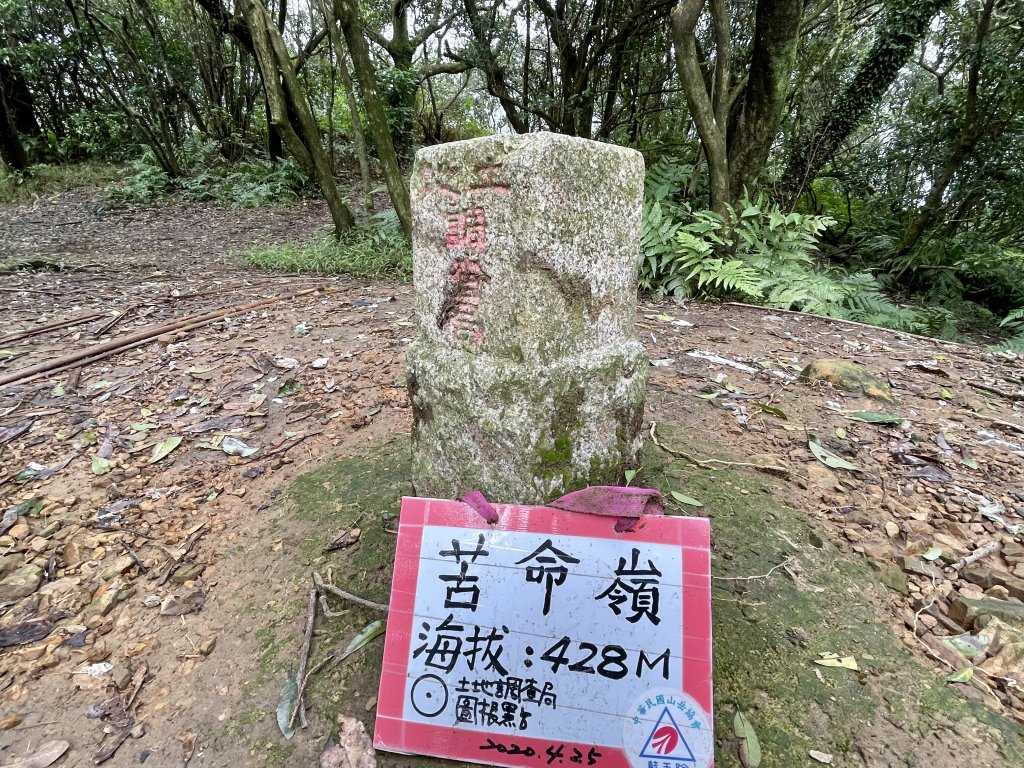 黃金十稜 龍洞稜 和美山登草山_1220916