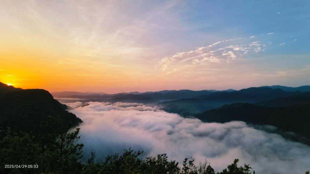 翡翠水庫壩頂 #火燒雲雲海 #日出雲海 #鱷魚島 #藍腹鷴 4/29_2772699