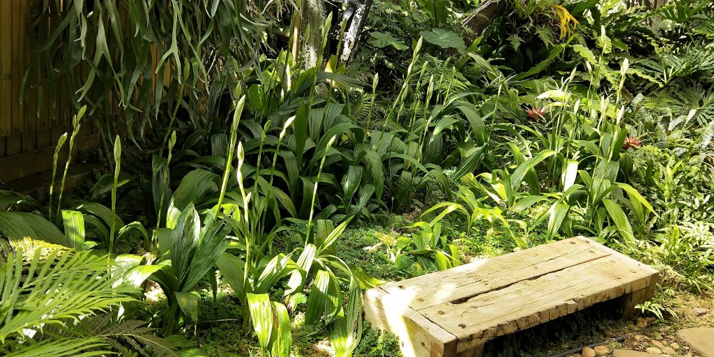 大屯自然公園，菜公坑山，巴拉卡山，逛逛趣_1275579