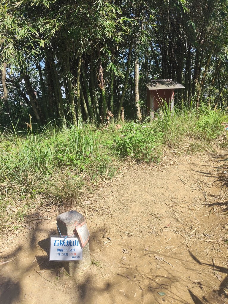 微笑山線：【大棟山系】百年大溶樹的_2937779