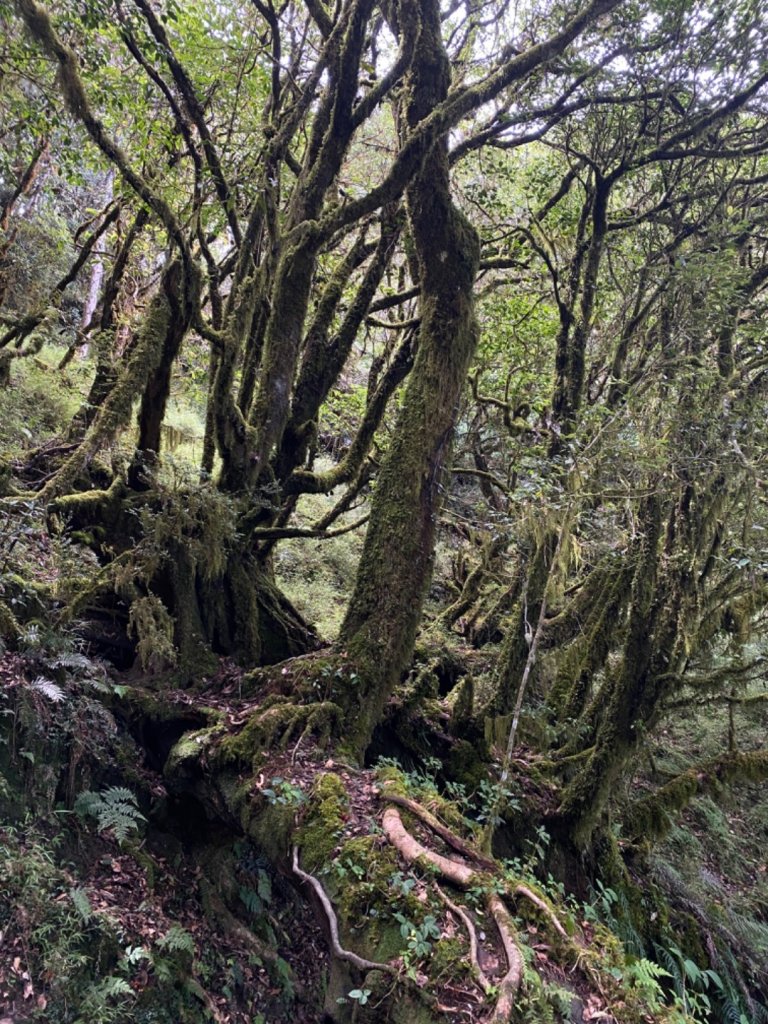 加羅湖。無與倫比的美麗與泥濘_1486314