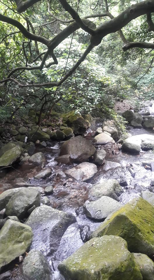 青山瀑布步道_818983