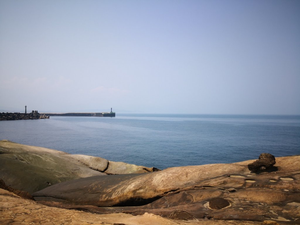 108.04.08野柳地質公園_562472