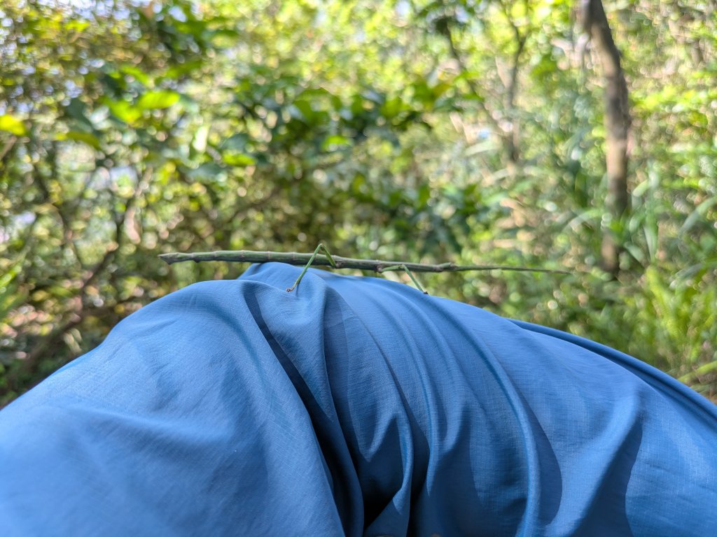 淡蘭古道中路_2860298