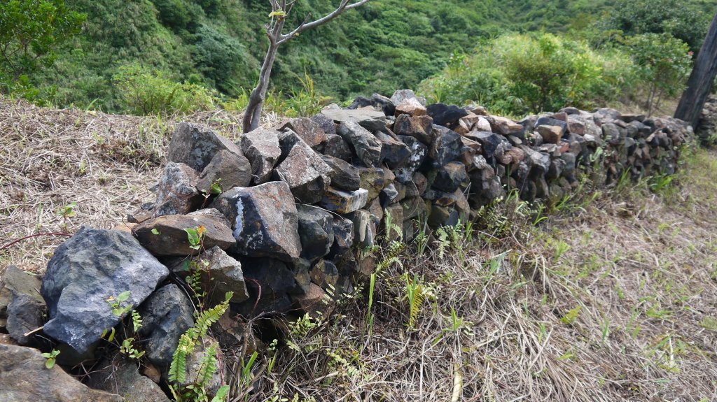 金瓜石黃金洞登山健行趣(郊山)_1518878
