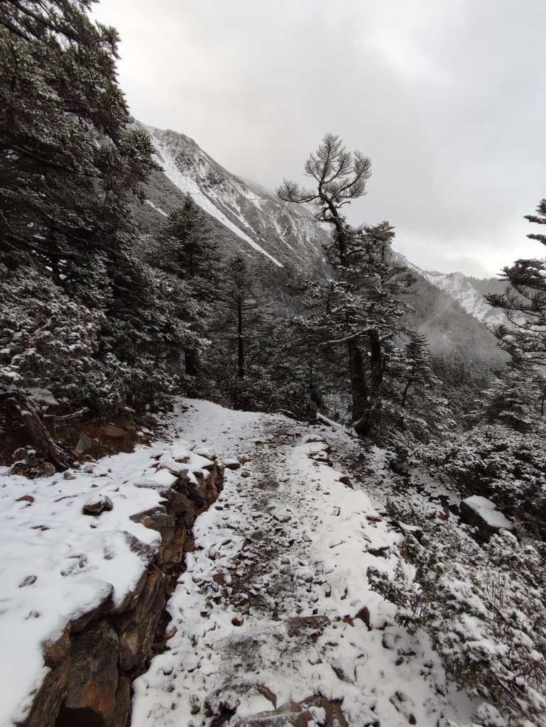 登頂玉峰 誰與爭峰_1565257