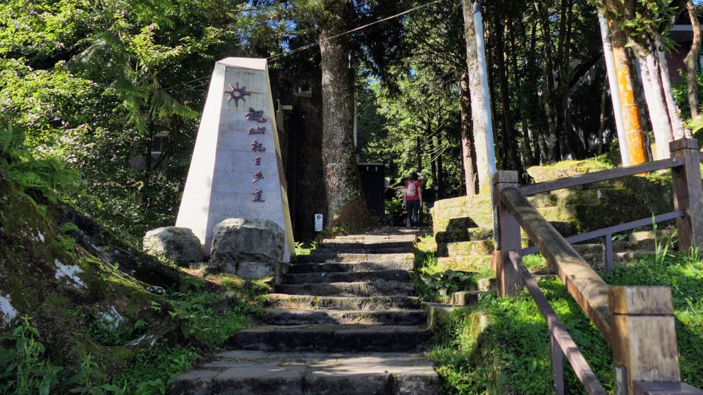 阿里山森遊區-祝山,對高岳步道_2536969