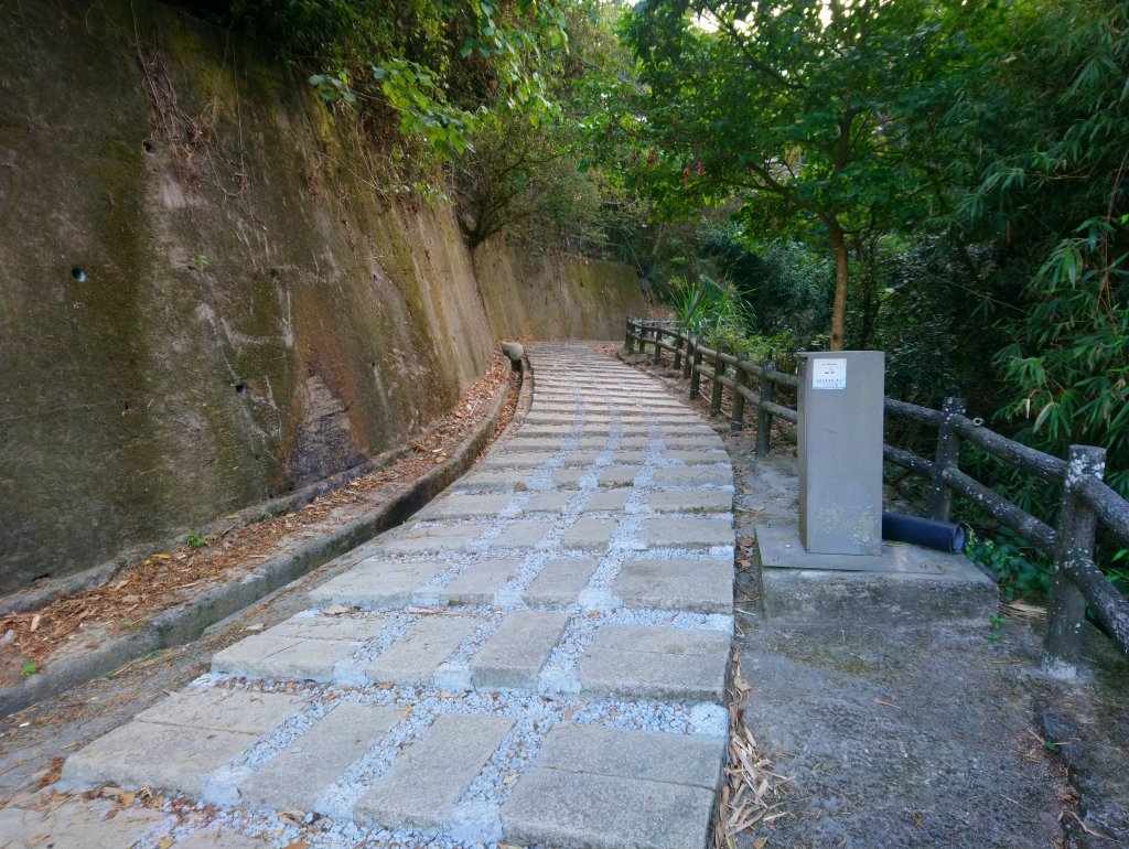 大坑步道全包一起登( 2 3維修)封面圖