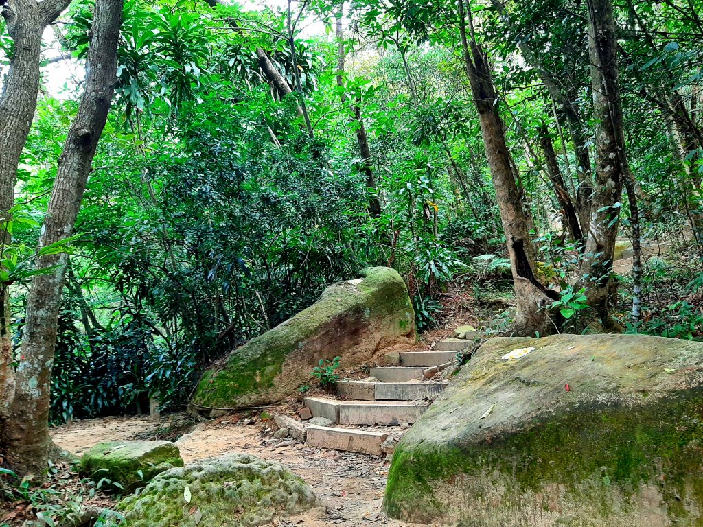 環台步道馬拉松之金面山、軍鑑岩_1920006