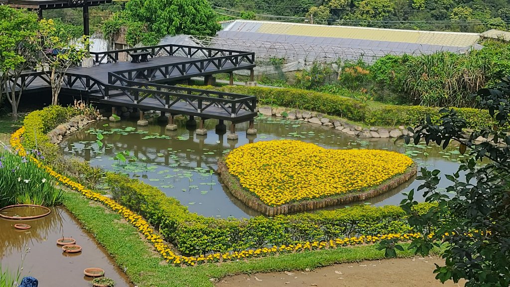 20024-0329臺北大縱走第四段：風櫃口站牌至大湖捷運站_2467556