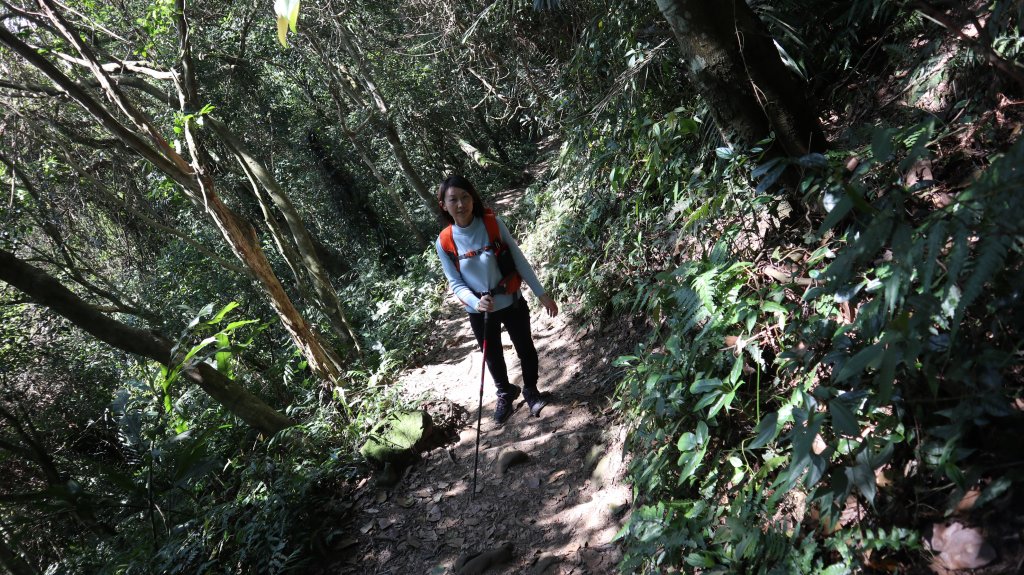 溪洲山登山健行趣(小百岳26號)_2069724
