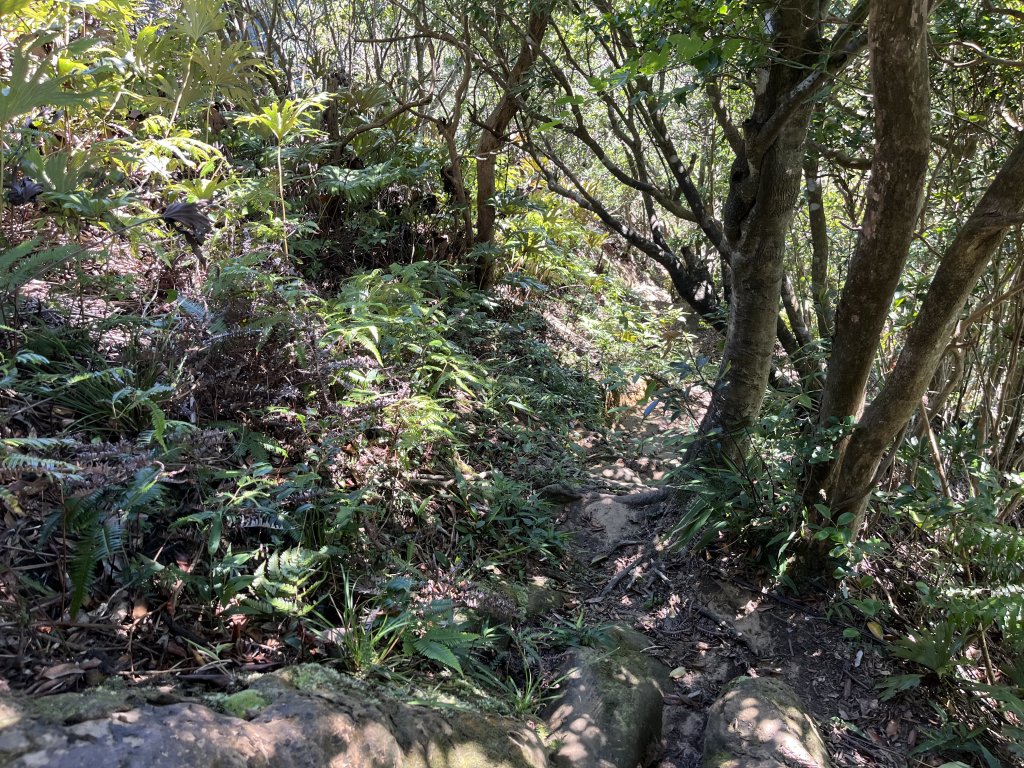 [微笑山線_第九段] 2025_0914 二格山系_皇帝殿東峰_2889514