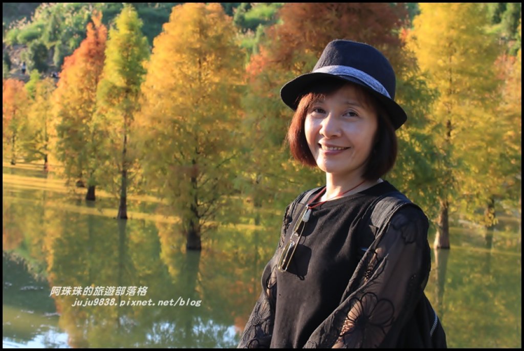 苗栗三灣水漾落羽松夢幻森林祕境_466334