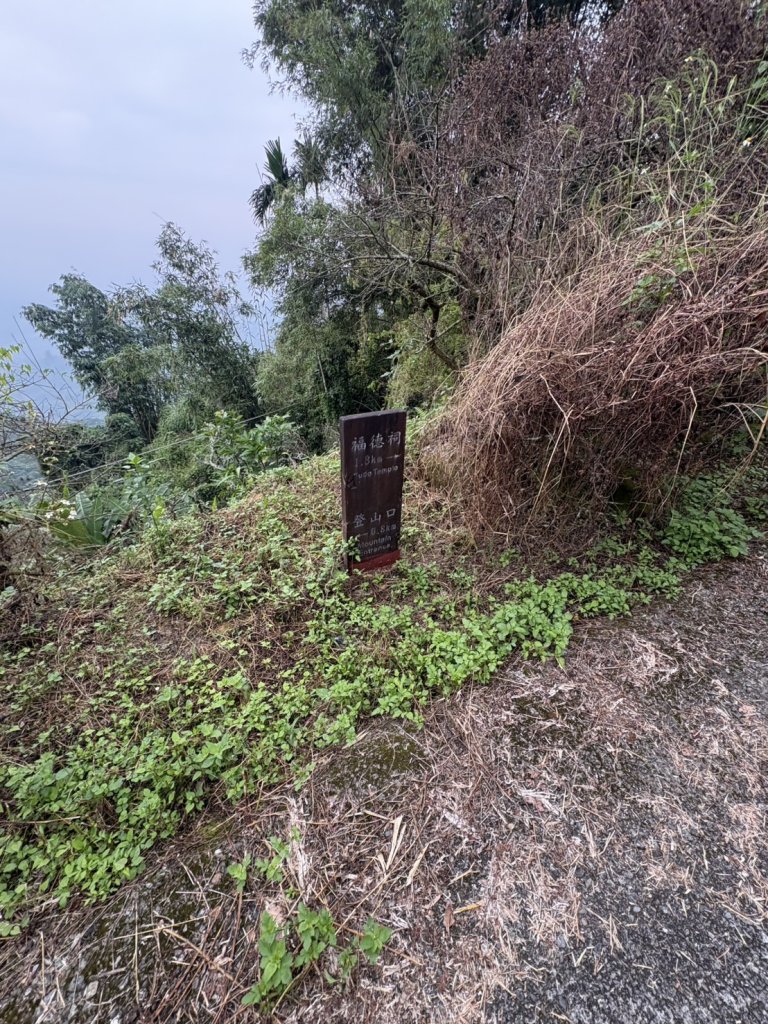 伍龍步道上竹子尖山_2924089