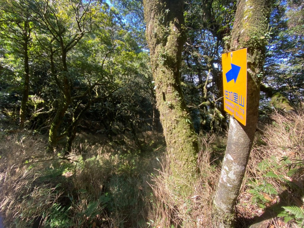 苗栗泰安-水雲三星-橫龍山_2612881