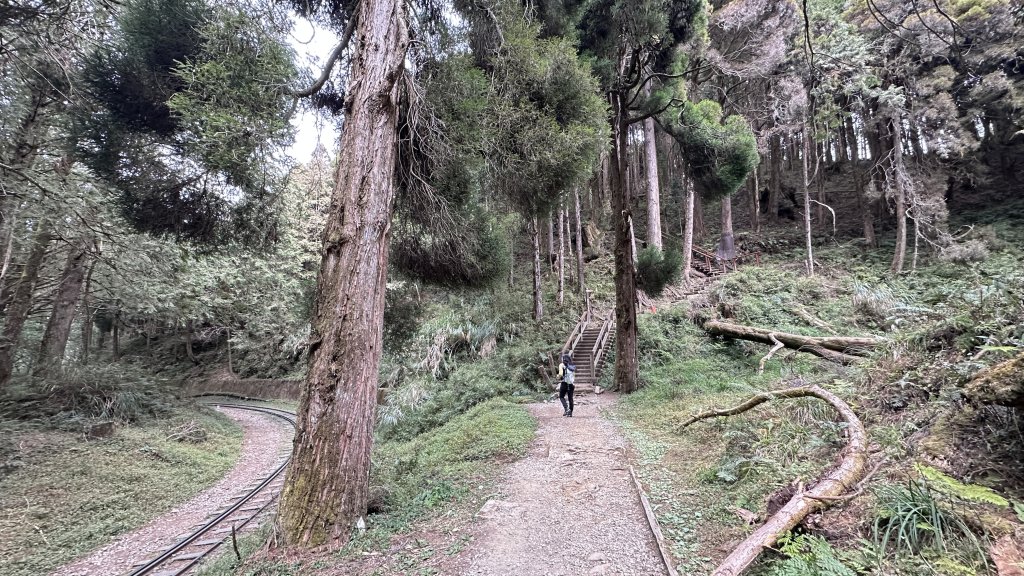 眠月線健行_2992999