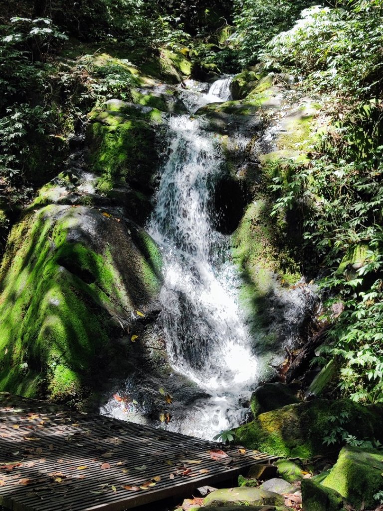 淡蘭北2+1逆走二刷_2772774