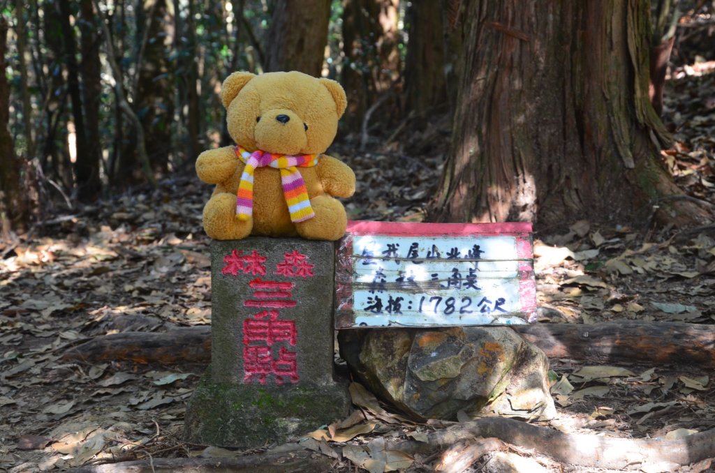 屋我尾山 - 北入口 : 大雪山林道_1076072