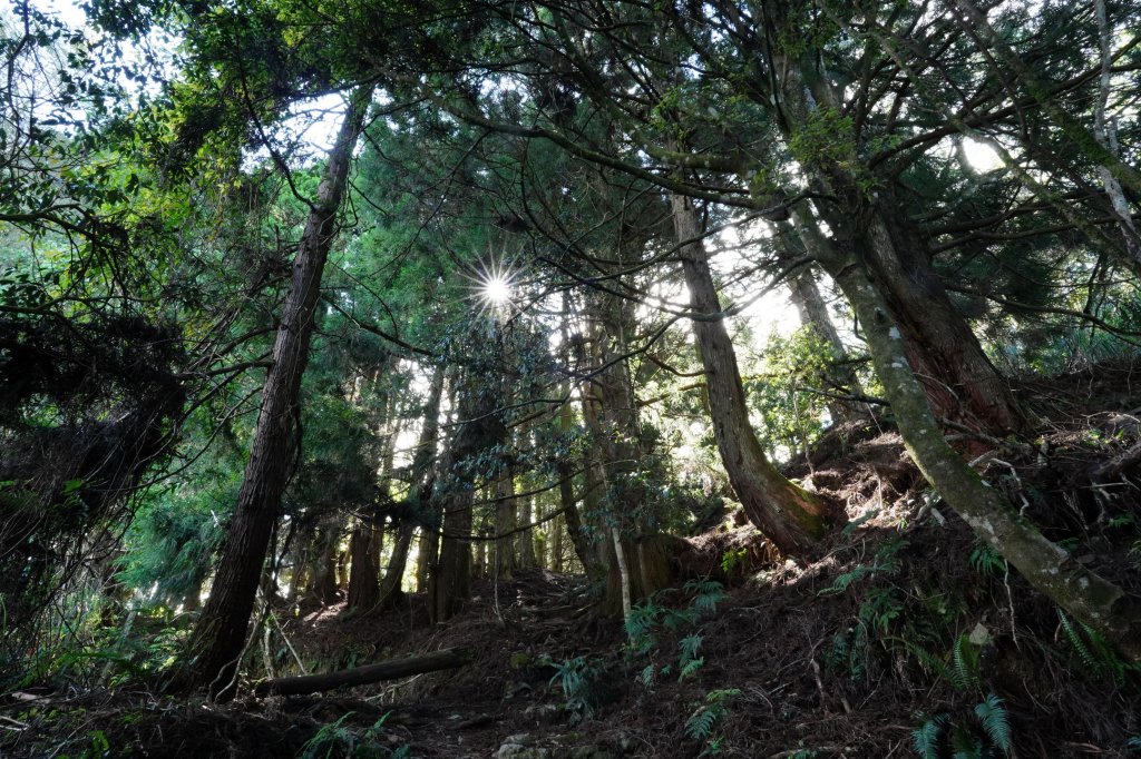 台中 和平 馬崙山_2796951