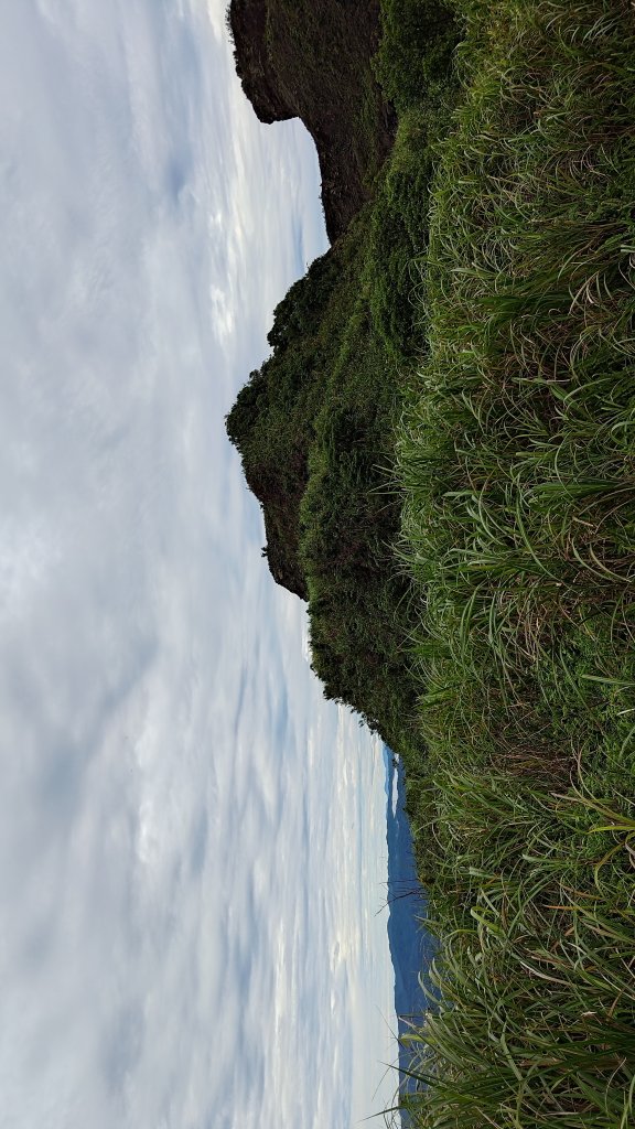 楊廷理古道_2814580