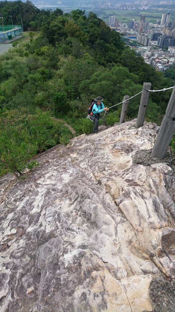 連爬9山-東華山到丹鳳山連走_426639